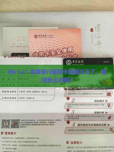 中原银行信用卡逾期了三天怎么办
