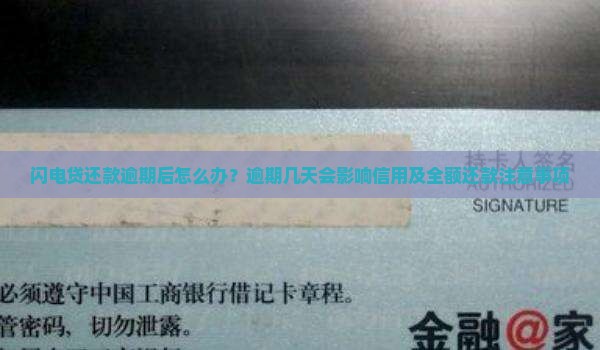 闪电贷还款逾期后怎么办 闪电贷还款逾期后怎么办