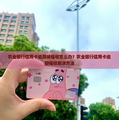 农业银行信用卡逾期被催收怎么办