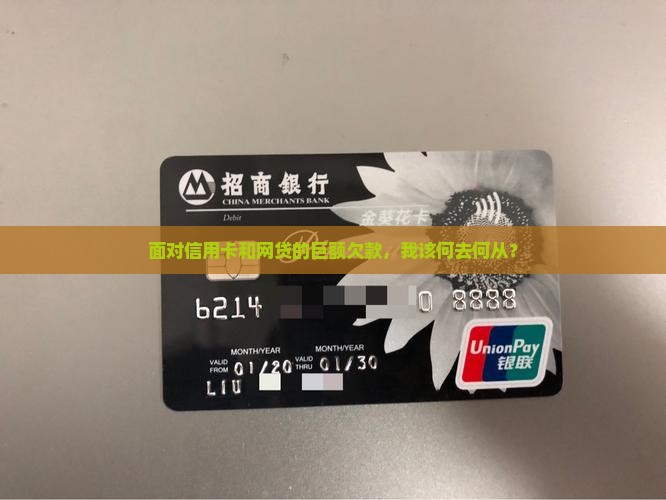 信用卡网贷欠款无力偿还该怎么办