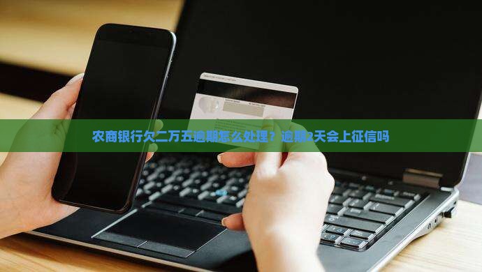 农商银行欠二万五逾期怎么处理