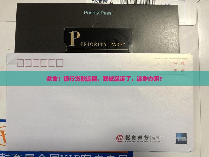 个人银行贷款逾期起诉案例