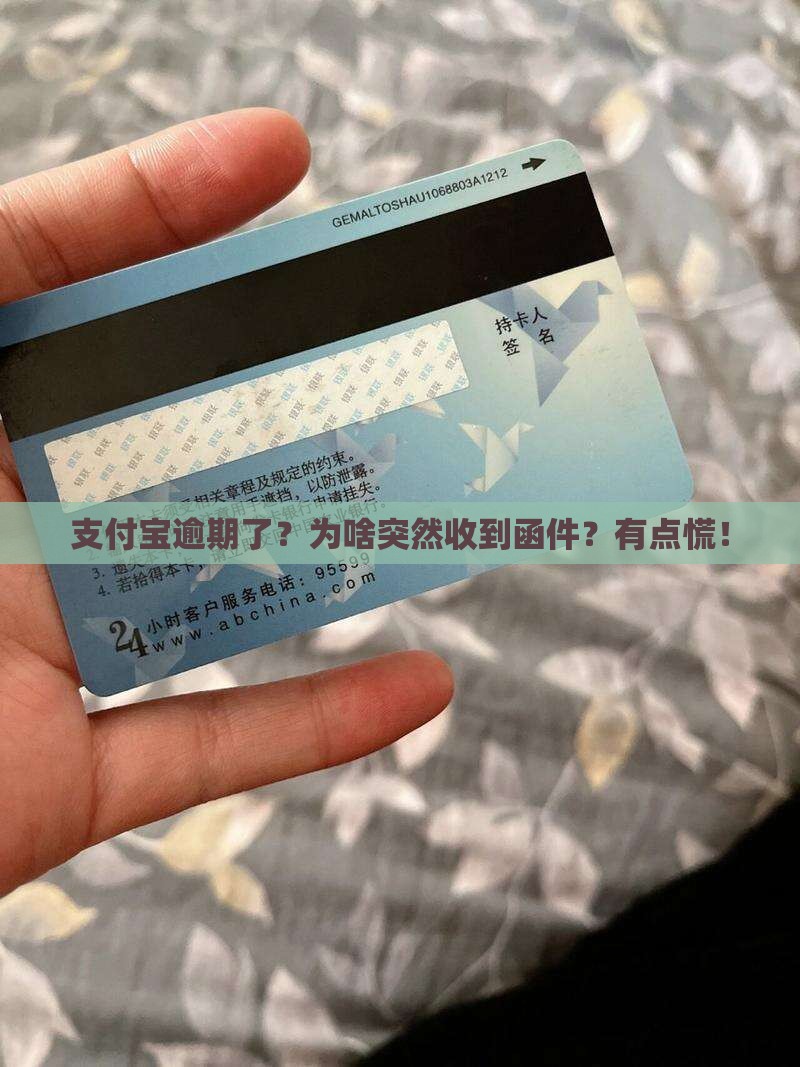 支付宝逾期发函件