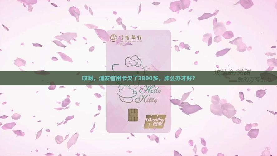 浦发信用卡逾期3800多该怎么处理 浦发信用卡逾期3800多该怎么处理