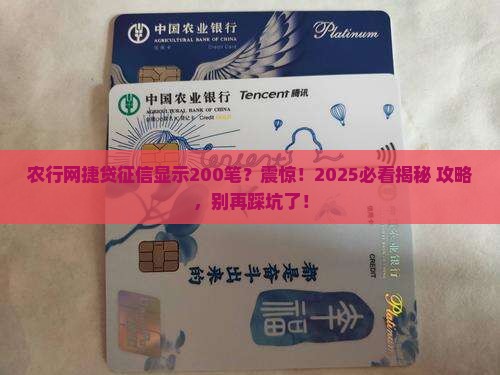 农行网捷贷在征信上显示200笔