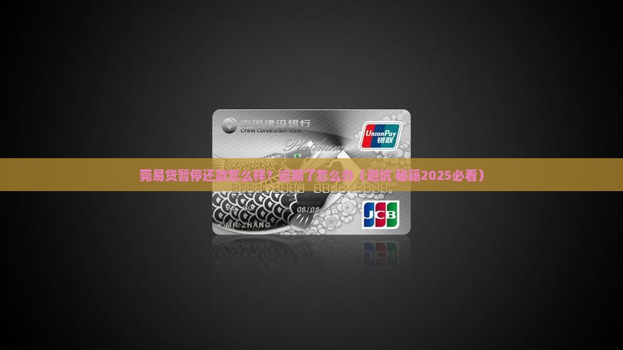 莞易贷暂停还款会怎么样