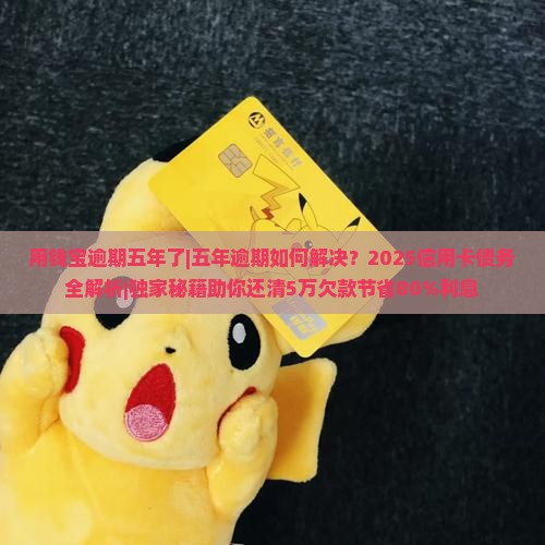 用钱宝逾期五年了