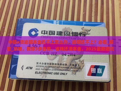 中银e贷逾期本金还不上怎么办