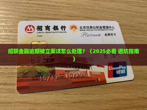 招联金融逾期被立案该怎么处理