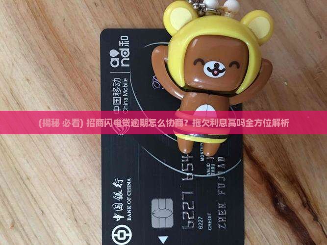 招商闪电贷逾期能协商吗拖欠利息高吗