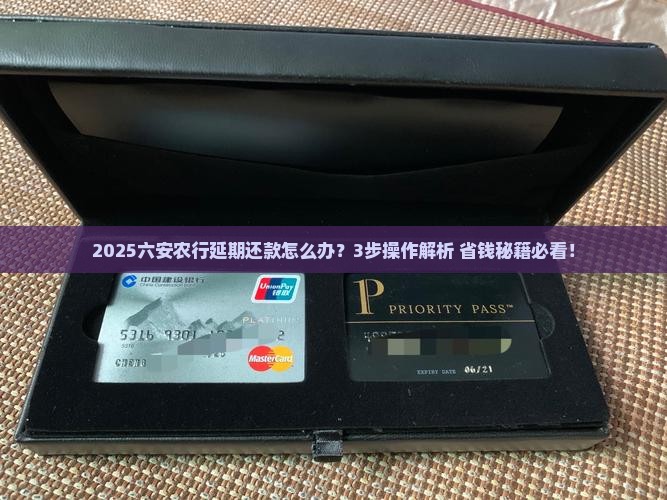 六安农业银行延期还款申请流程