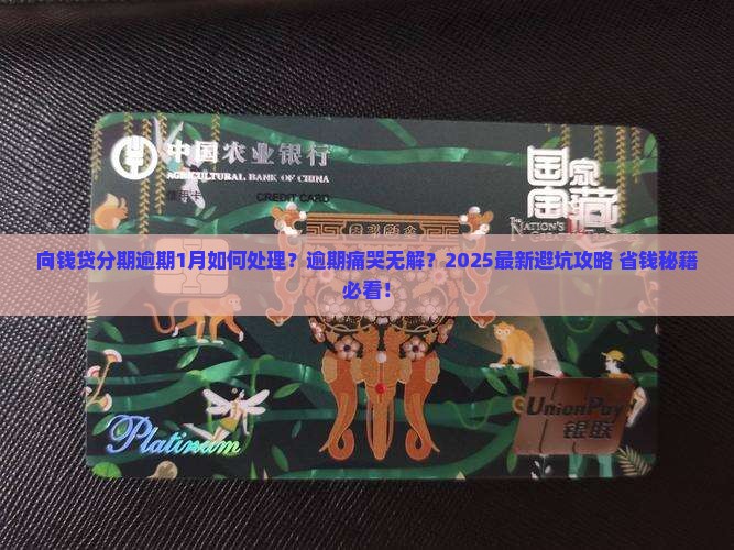 向钱贷分期逾期1月如何处理