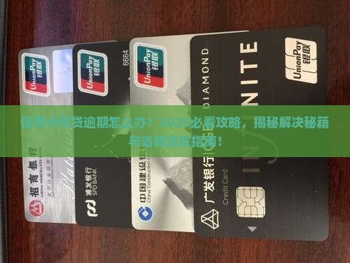 信用卡网贷逾期法律问题应该如何解决