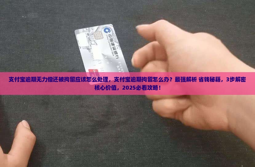 支付宝逾期无力偿还被拘留应该怎么处理