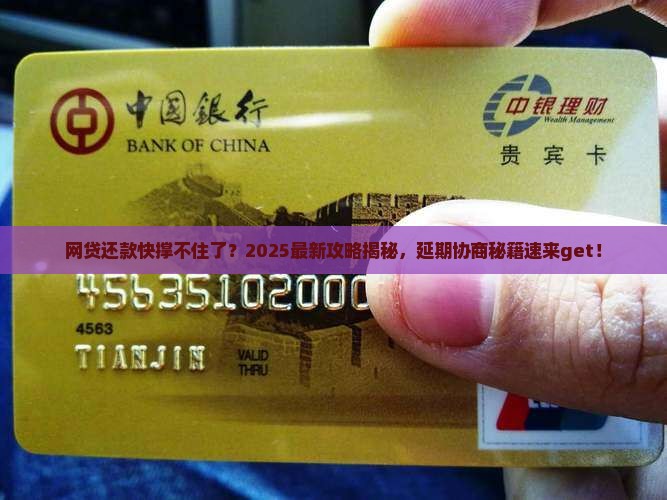 网贷要怎么协商延期还款呢