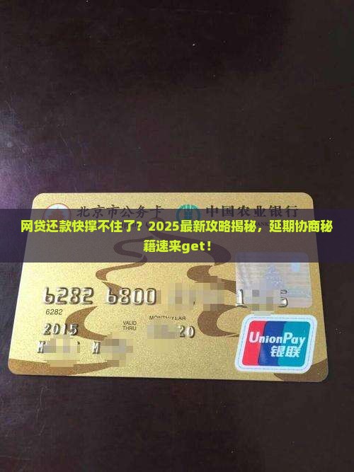网贷要怎么协商延期还款呢