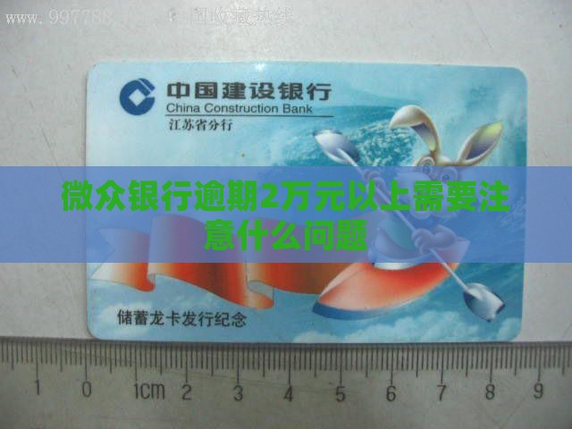 微众银行逾期2万元以上需要注意什么