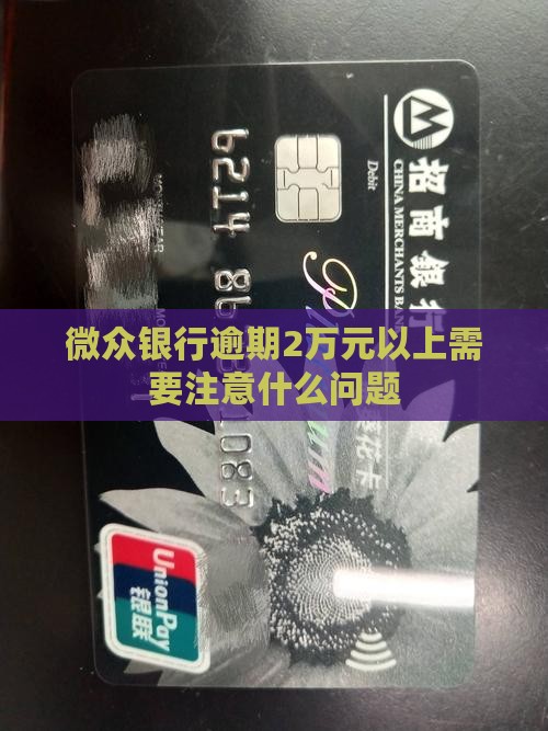 微众银行逾期2万元以上需要注意什么