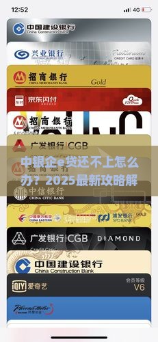 中银企e贷还不上怎么办