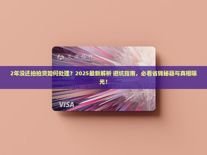 2年没还拍拍贷