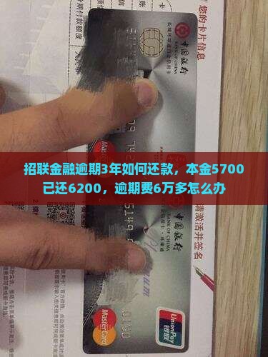 招联金融逾期3年如何还款