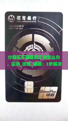 分期乐不能延迟还款怎么办