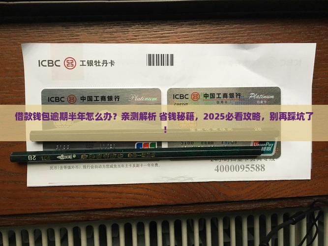 借款钱包逾期半年怎么办