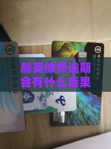 赫美微贷逾期会有什么后果