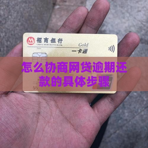 网贷逾期协商还款具体操作步骤