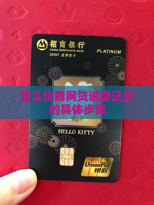 网贷逾期协商还款具体操作步骤