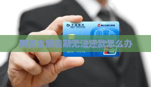网贷全部逾期无法还款怎么办