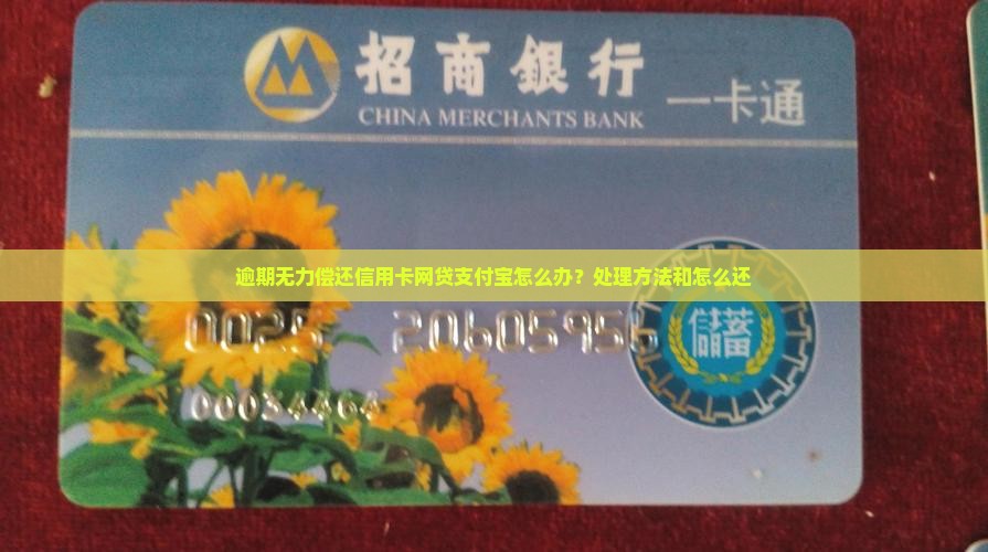 网贷信用卡支付宝逾期无力偿还怎么办