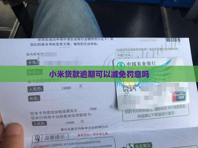小米贷款逾期罚息能否减免