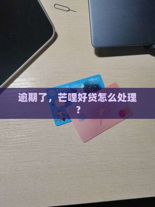 芒哩好贷逾期会怎样