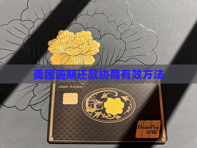 美团还款怎么协商有效方法