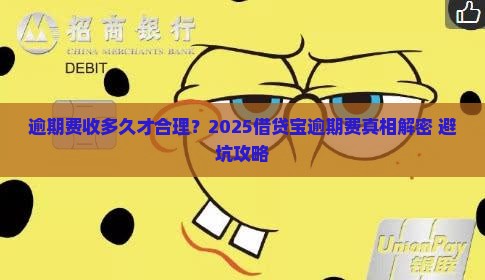 借贷宝逾期费收多久合适