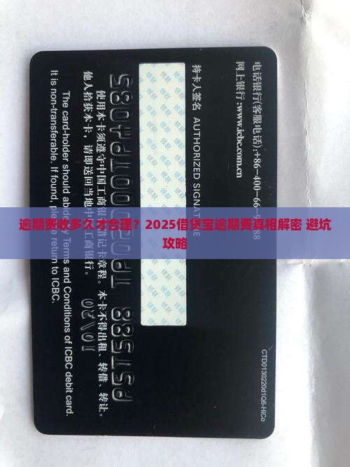 借贷宝逾期费收多久合适