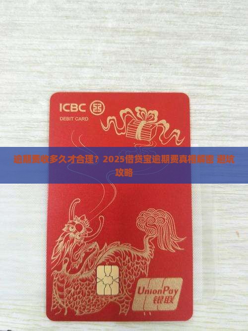 借贷宝逾期费收多久合适