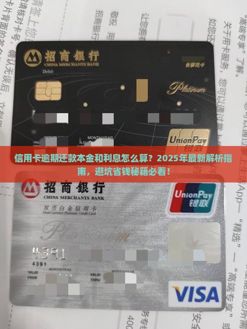 信用卡逾期还款本金和利息计算方法