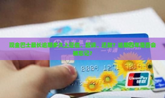 现金巴士最长逾期多久