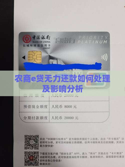 农商e贷无力还款