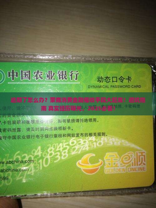 蒙商消费金融逾期催收措施有哪些