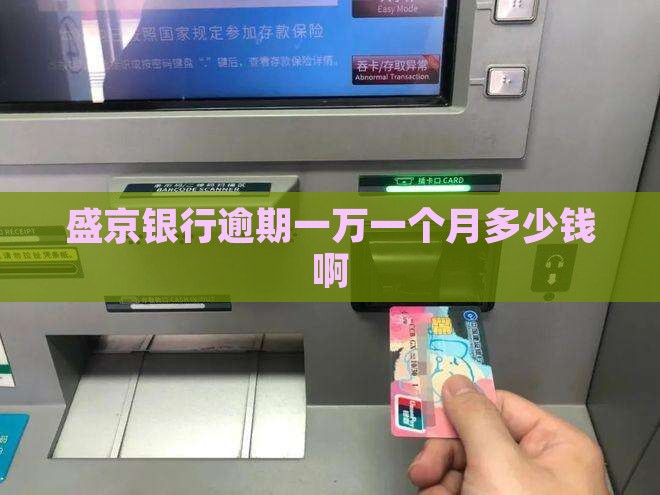 盛京银行逾期一万一个月多少钱啊