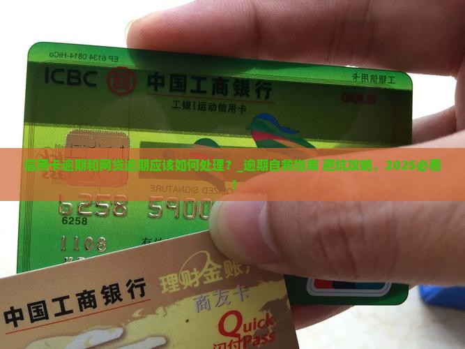 信用卡逾期和网贷逾期应该如何处理
