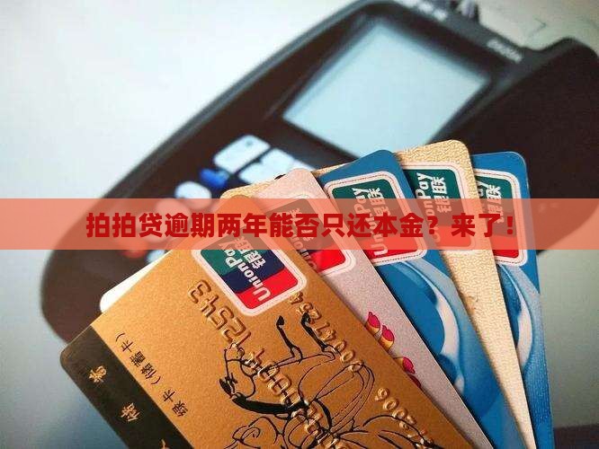 拍拍贷逾期两年能否只还本金