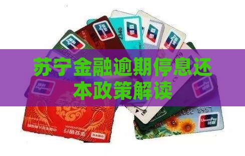 苏宁金融停息还本
