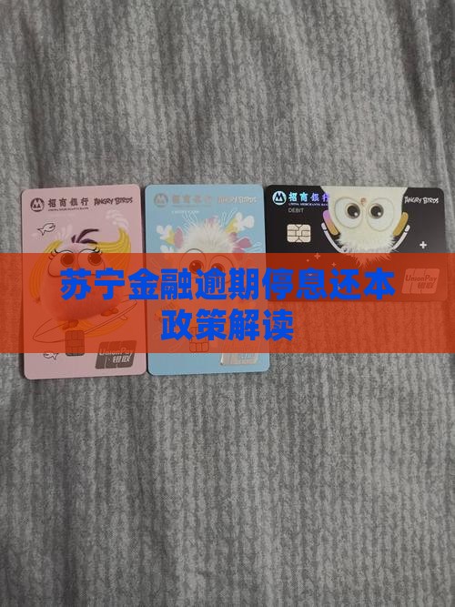 苏宁金融停息还本