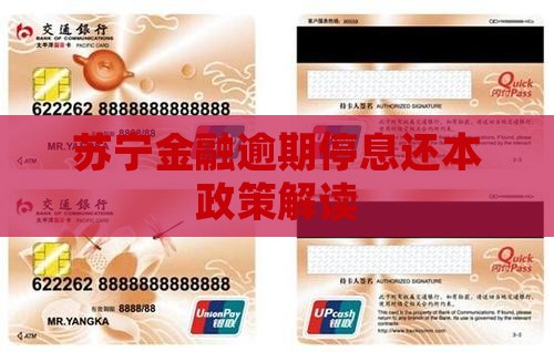 苏宁金融停息还本