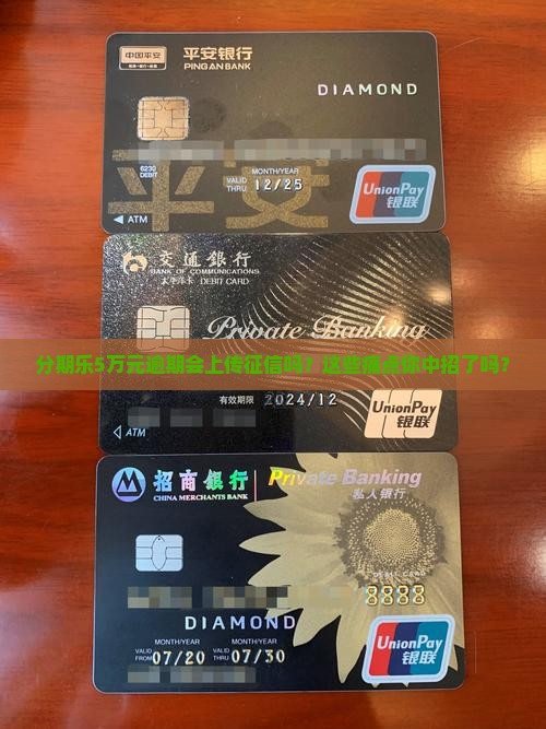 分期乐5万元逾期上征信吗