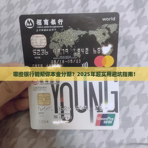 哪些银行可以本金个性化分期
